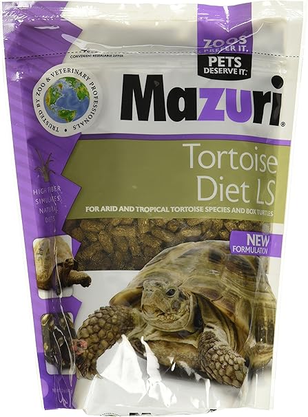 small tortoise food