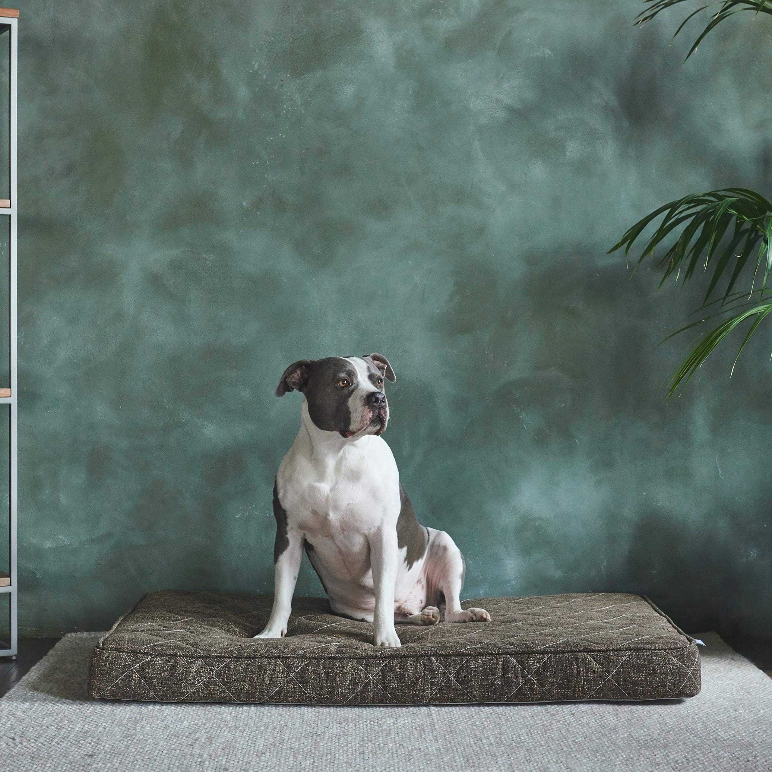 Brentwood Home Griffith Orthopedic Dog Bed - Cooling Gel Memory Foam with Washable Cover and Waterproof Liner, for Cats and Dogs, Made in California, Mocha, Size Large
