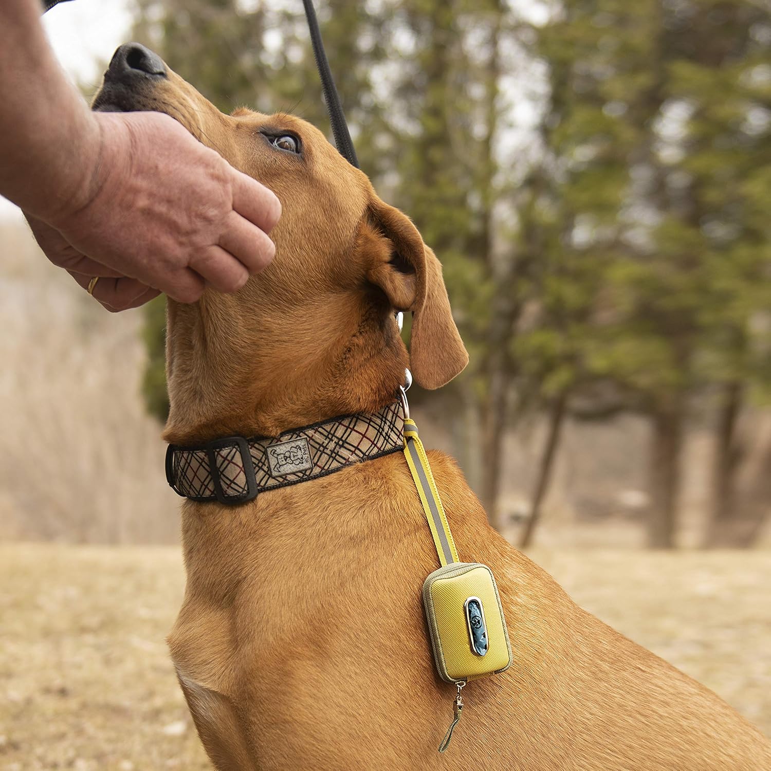 terre verte pet waste bags