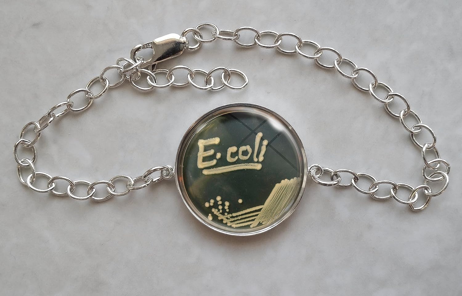 Amazon Com E Coli Bacteria Petri Dish Sterling Silver Charm