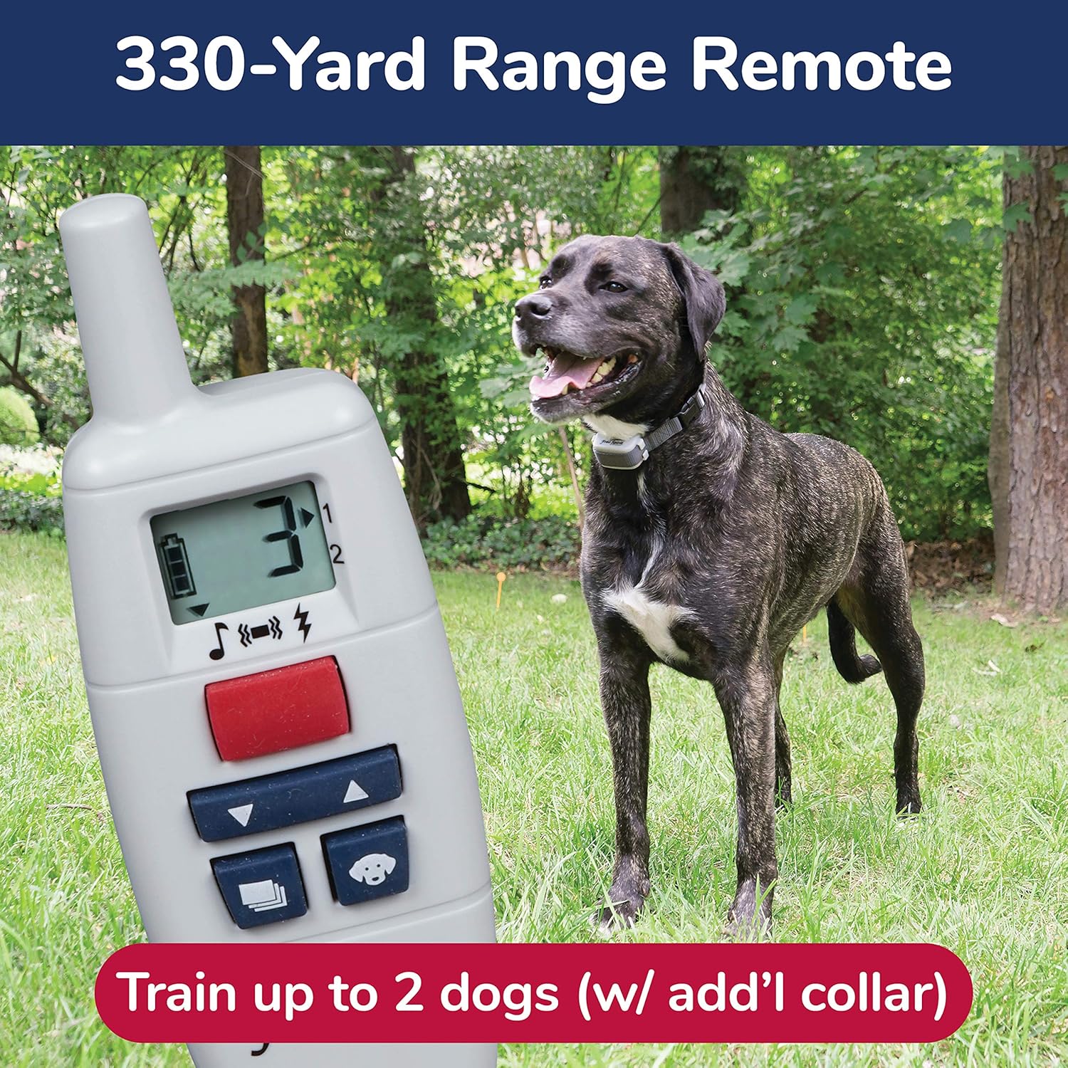 free spirit dog shock collar