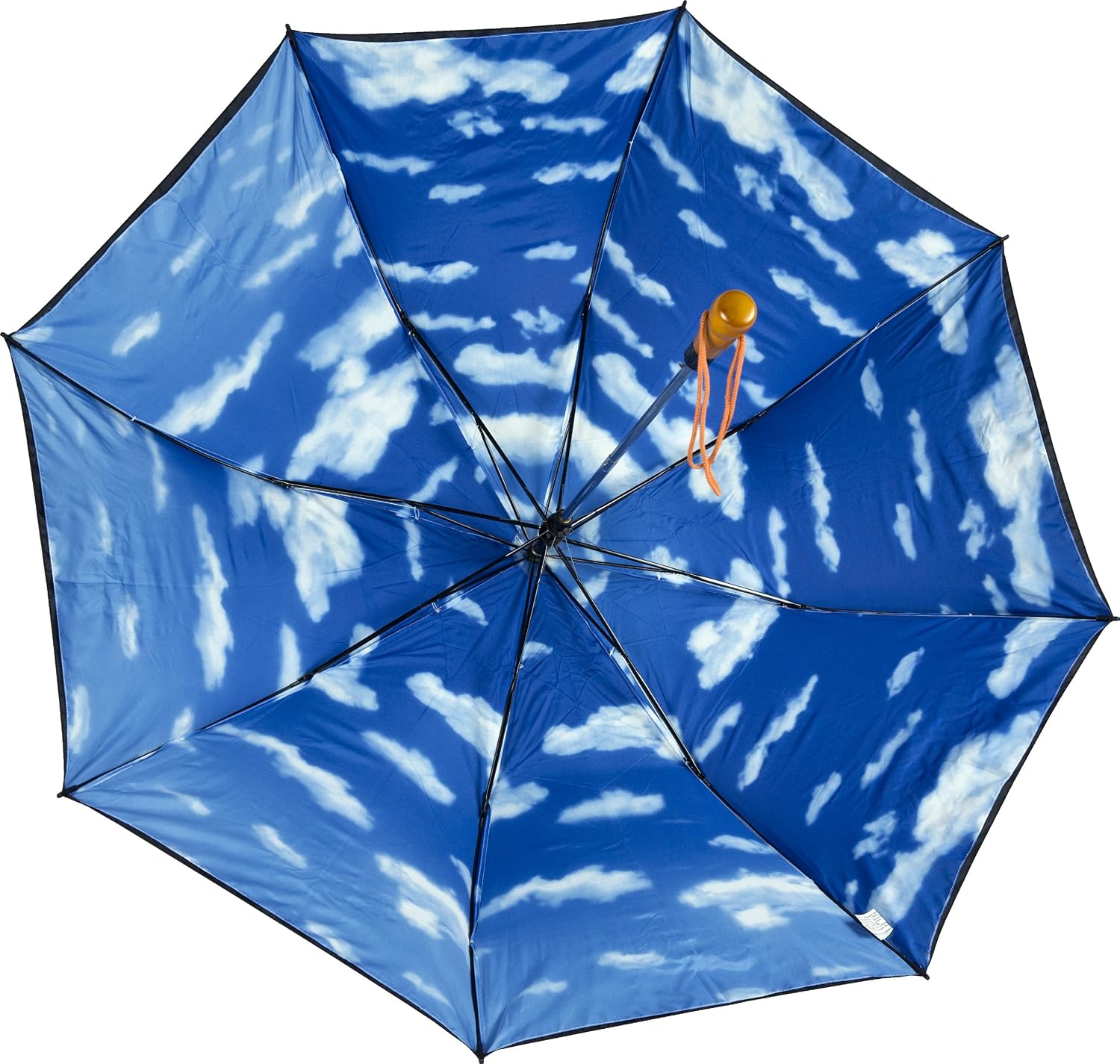 Amazon.com : Haas-Jordan by Westcott Sky Umbrella, Black, 58-Inch