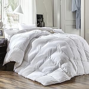 Luxury Queen Size White Goose Down Feather Comforter Duvet Insert 600 Thread Count Hypoallergenic 100% Cotton 600FP,Cozy Down Duvet with 8 Corner Tabs.All Seasons Down Comforter.