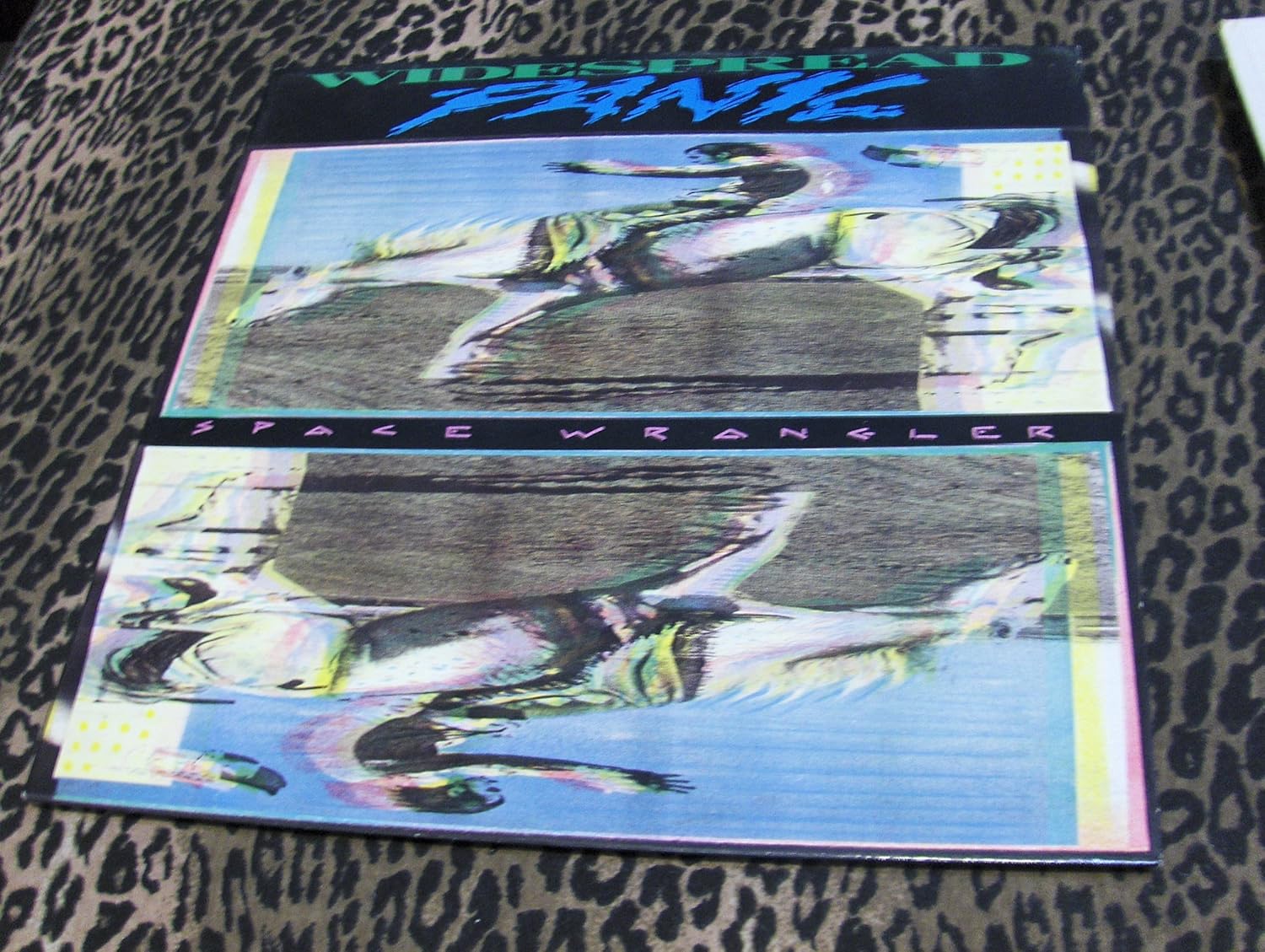 Widespread Panic Space Wrangler Music