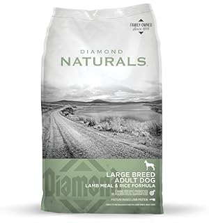 diamond dog food skin and coat