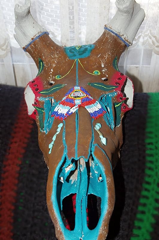Painted Elk Skull Handmade