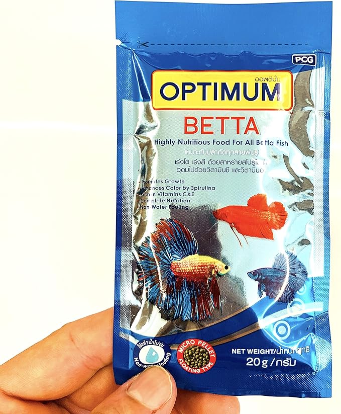 ceramic dog food storage