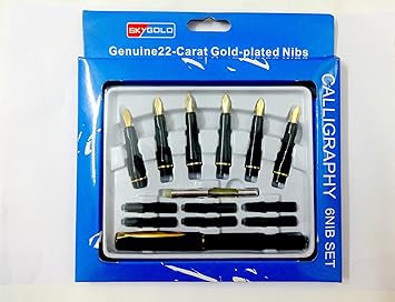 Buy Sky Gold 6 Nib Calligraphy Set Online At Low Prices In India Amazon In
