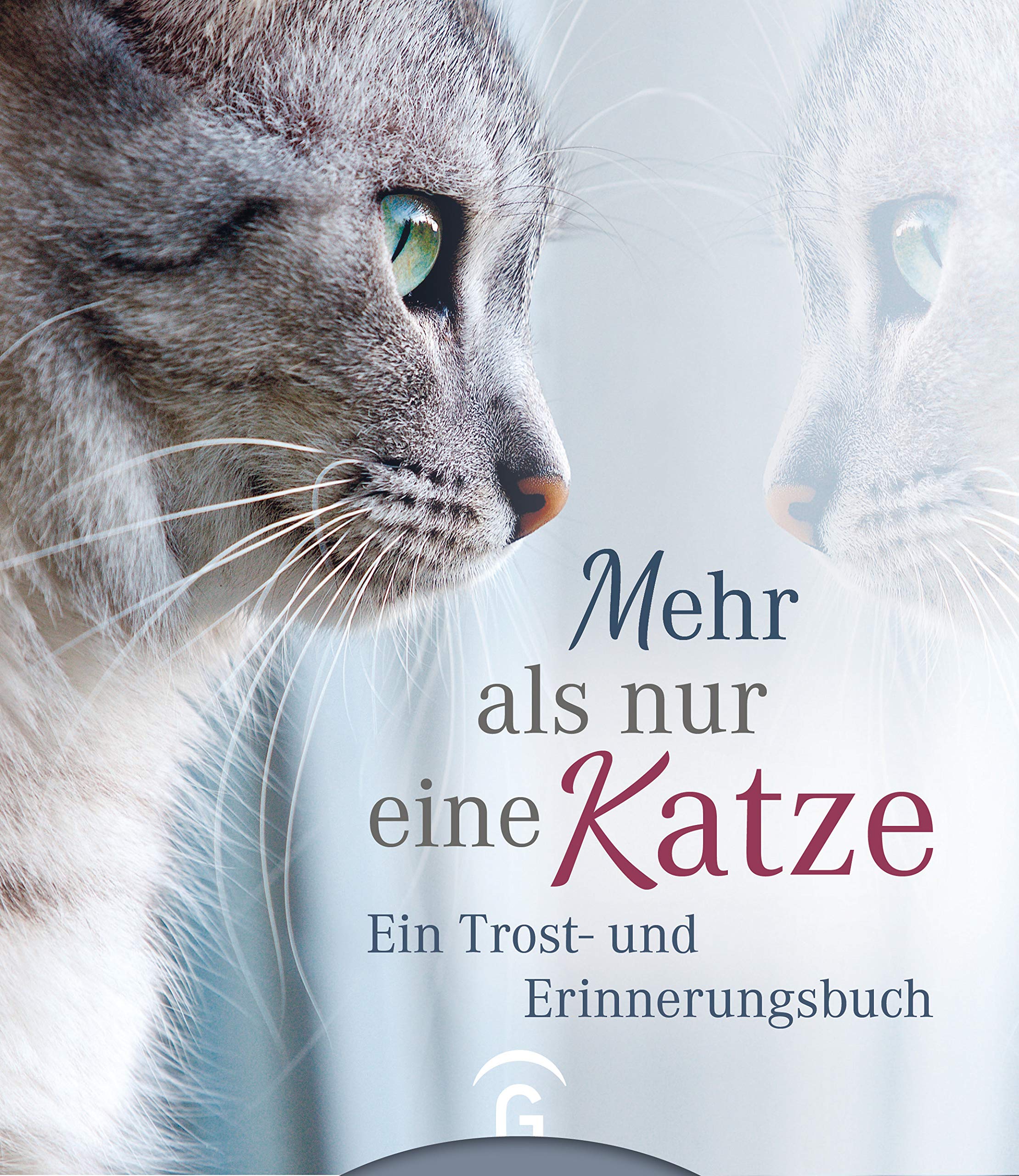 Mehr Als Nur Eine Katze Ein Trost Und Erinnerungsbuch Amazon De