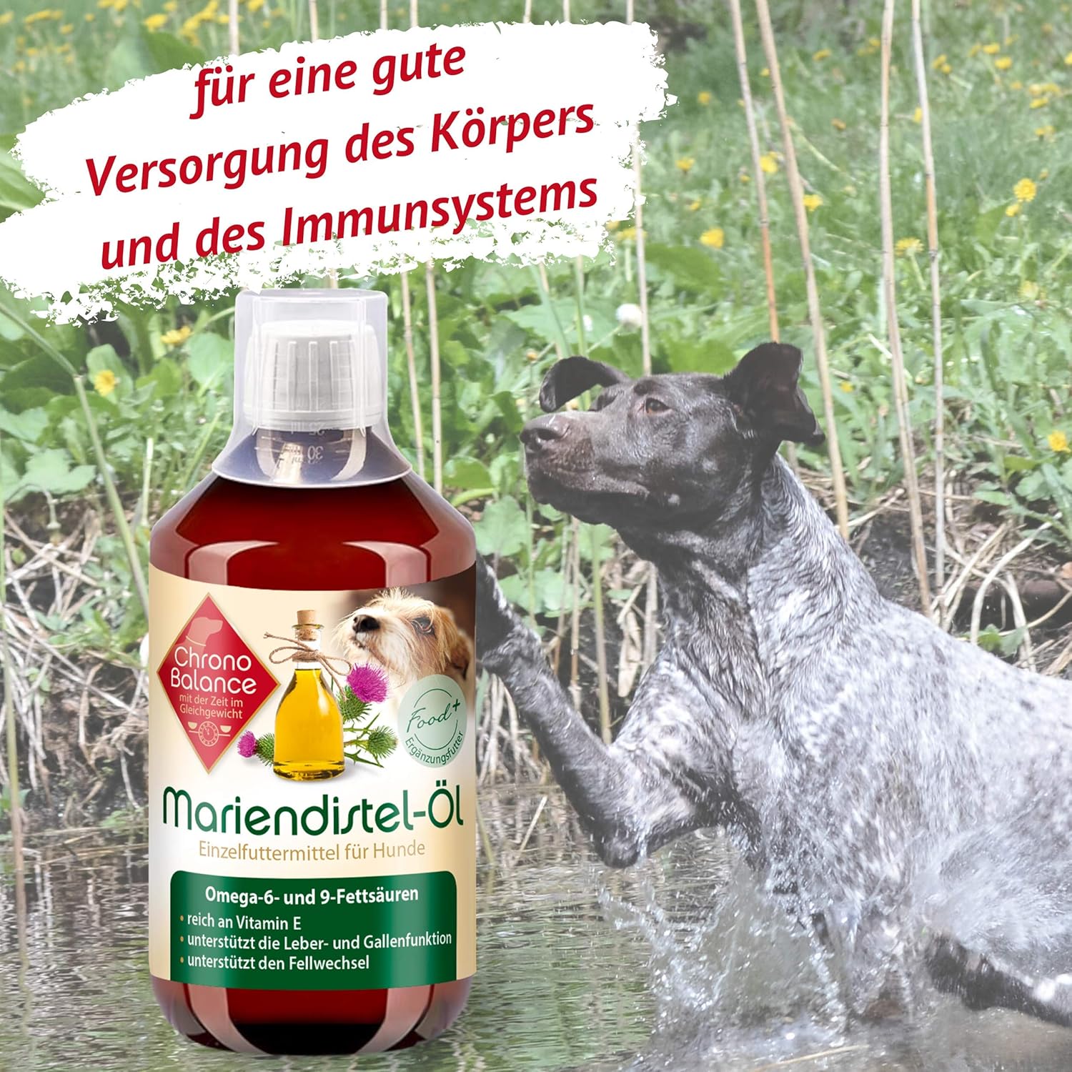 Chronobalance Huile De Chardon Marie Pour Chiens Complement Alimentaire Naturel Favorise Le Metabolisme Riche En Vitamine E Omega 6 Et Omega 9 500 Ml Amazon Fr Animalerie