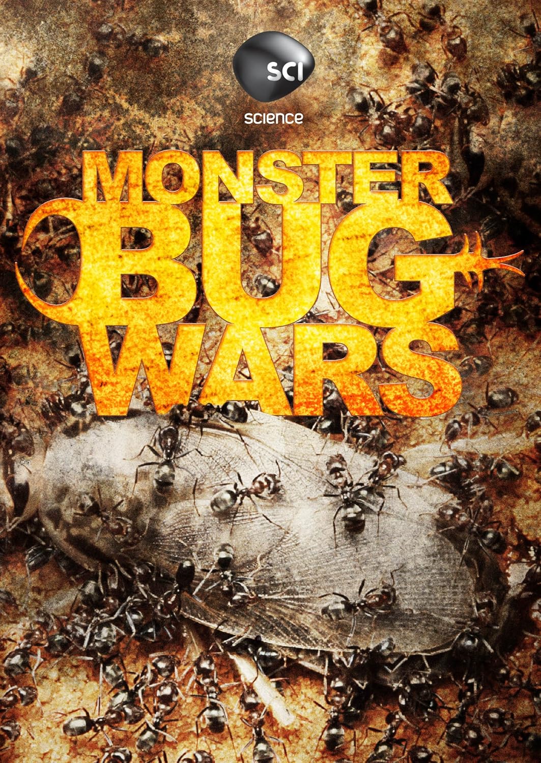 Monster Bug Wars Mother Of All Wars