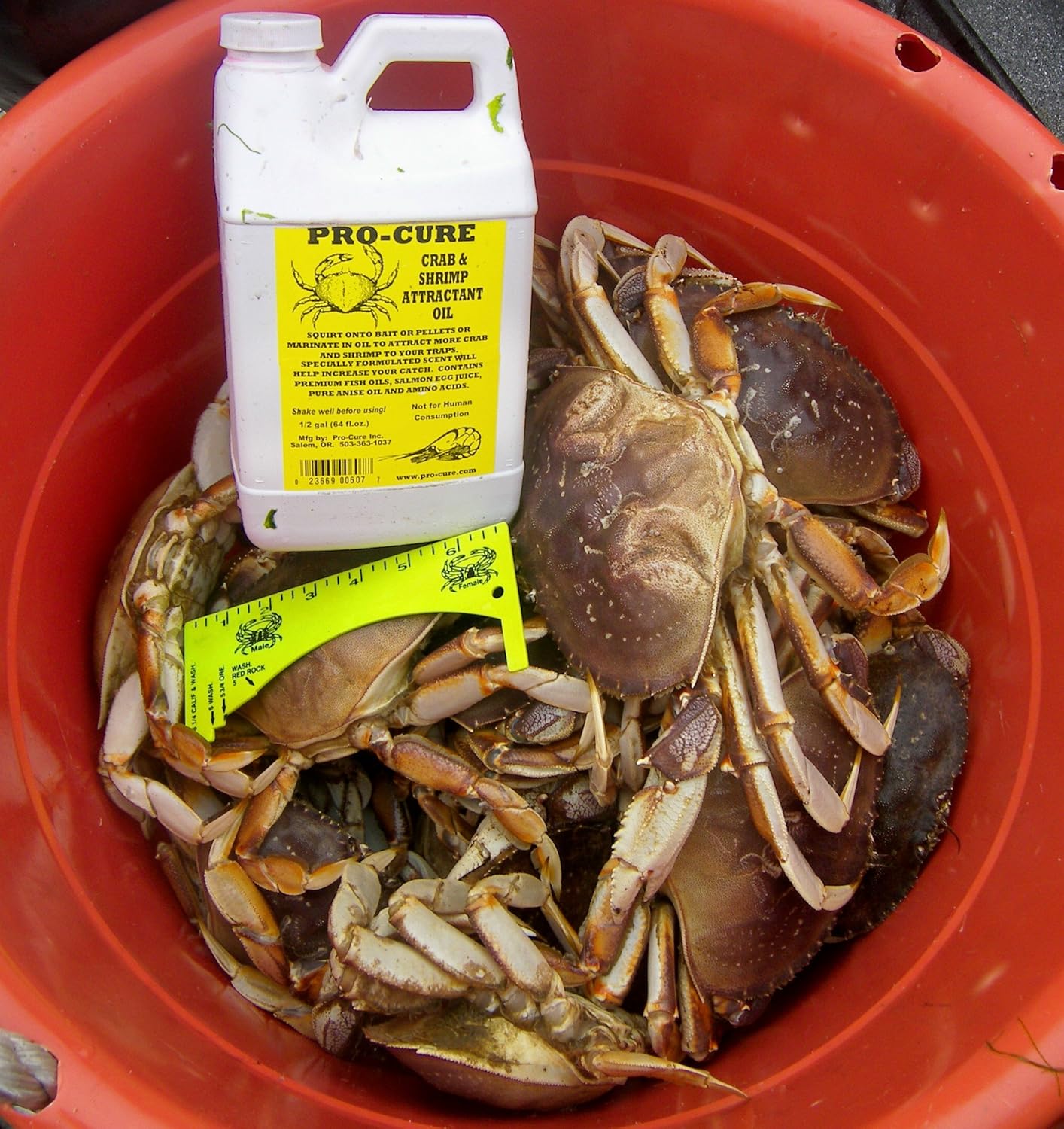 crab attractant