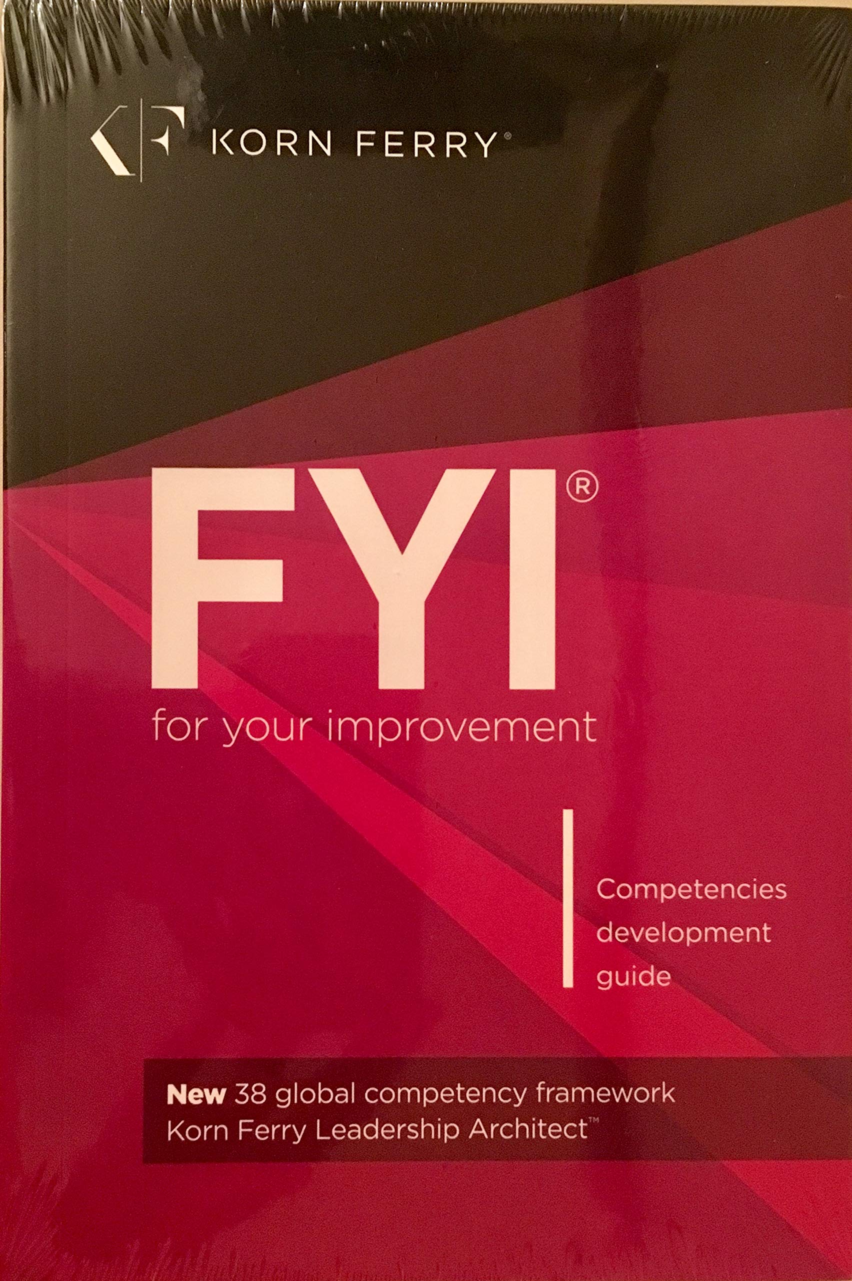 Fyi For Your Improvement Competencies Development Guide 6th