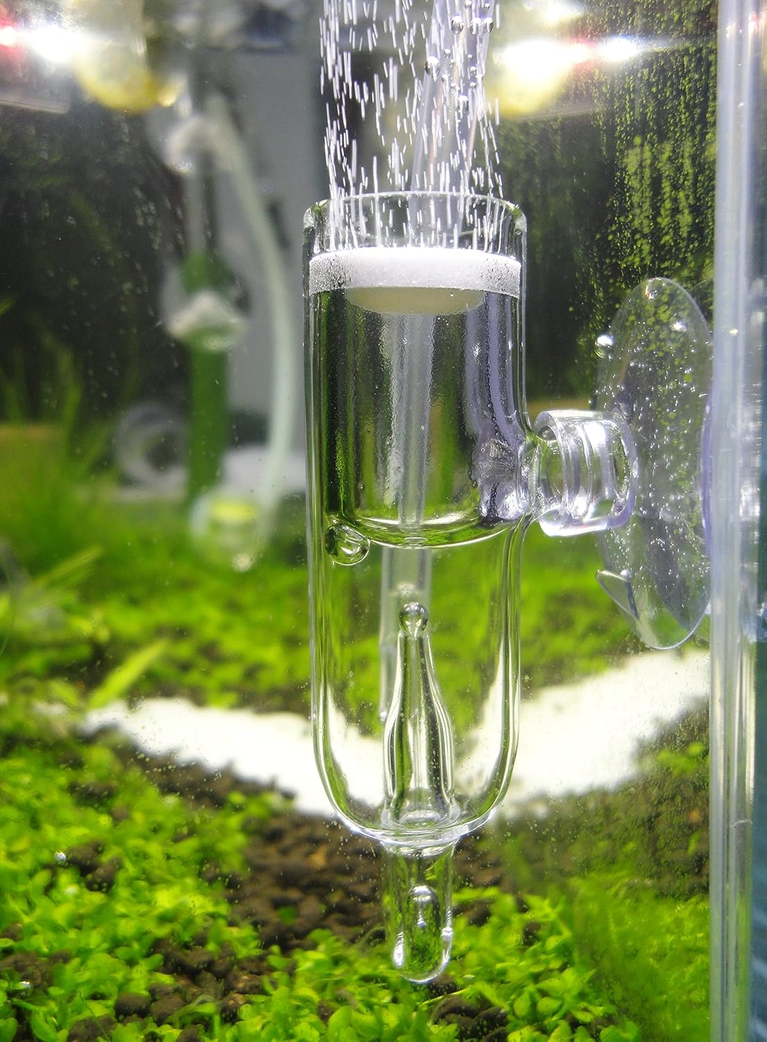 Amazon ガラス製co2拡散器 バブルカウントディフューザー Jardli 水質テスト 管理用品 通販