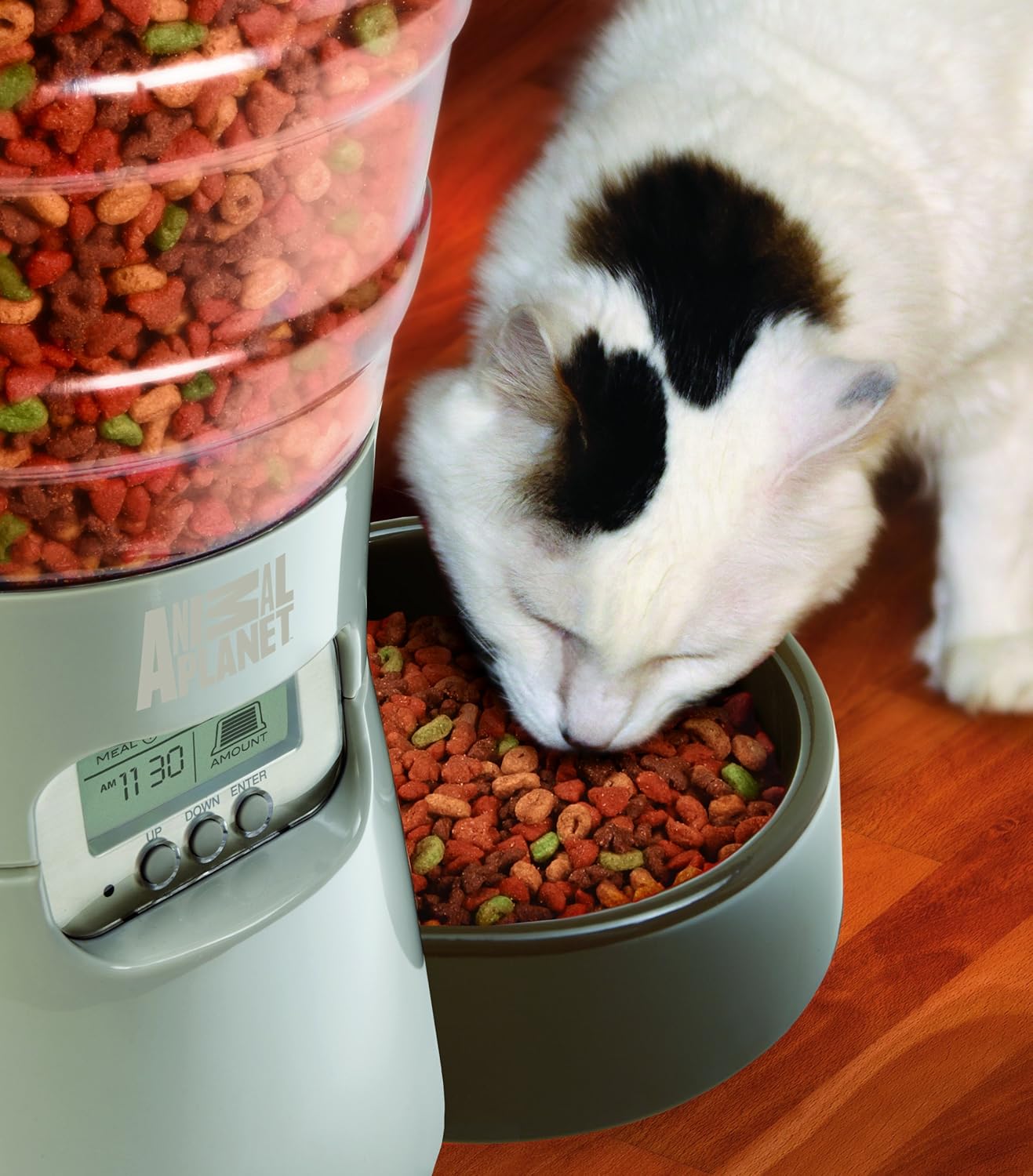 Pet Supplies Animal Planet Programmable Electronic Pet Feeder