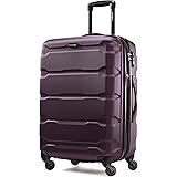 Samsonite omni