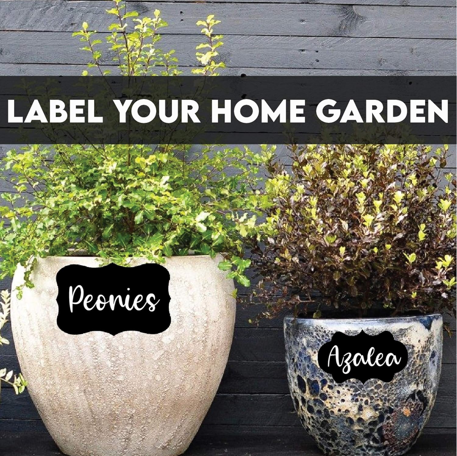Mantah Chalkboard Label Stickers 96pcs - 9 Assorted Shapes in 3 sizes with Erasable 2 White Chalk Markers, Reusable, Waterproof Labels for Storage Bins, Food Containers, Mason Jars, Kitchen Pantry Use : Office Products