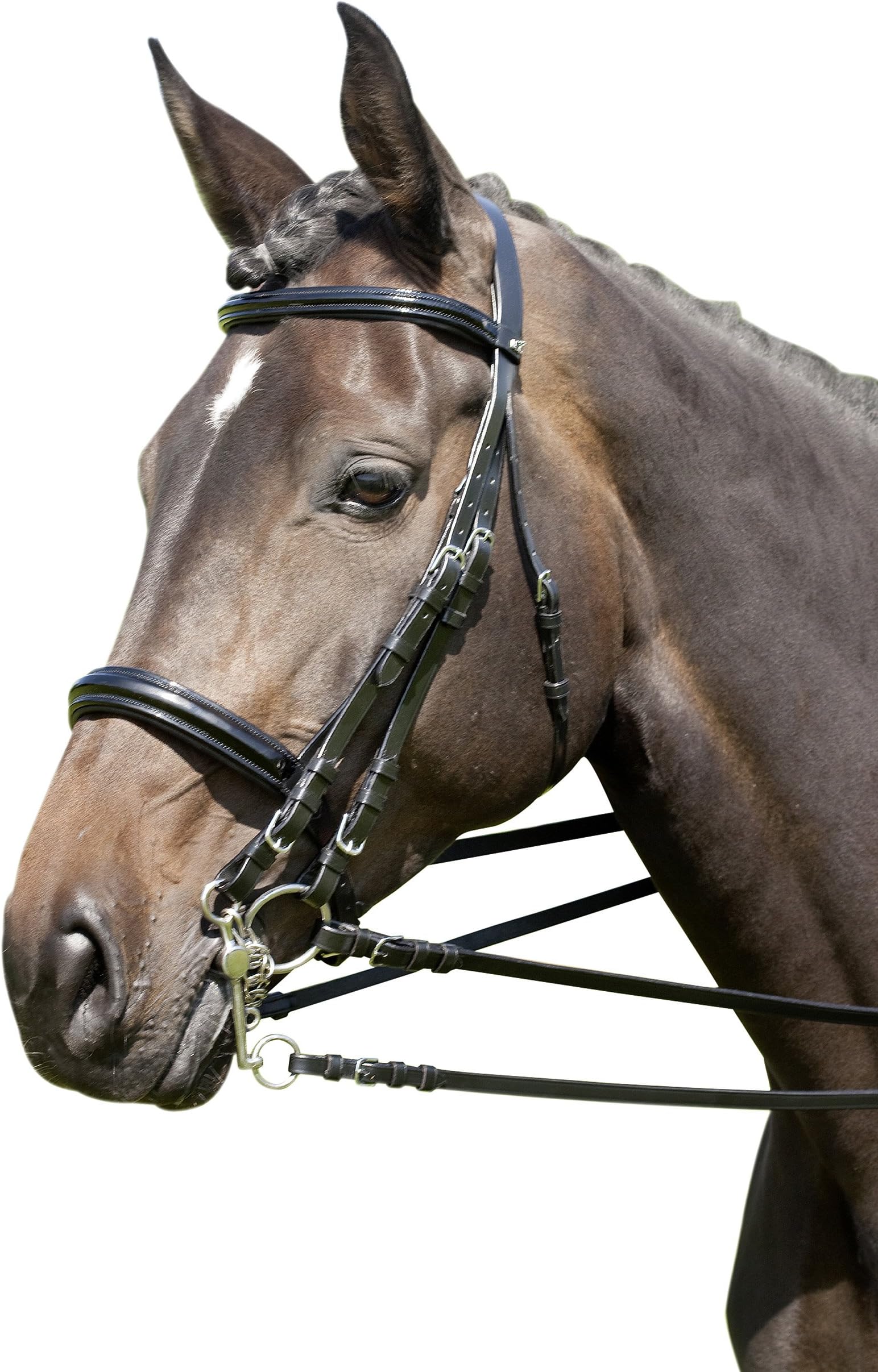 USG Weymouth Bridle Fortuna with Self Lined/ Browband and Noseband in Laquer Appearance/ Silver Fittings/ Leather Reins, Full, Black Leather
