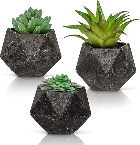 Amazon Ashbrook Outdoors 人工多肉植物 鉢付き 3個セット 3種の人工植物 鉢植え ダークグレー 多肉植物プランター モダン インテリア装飾アクセント オフィス デスク リビングルーム用 人工観葉植物 オンライン通販