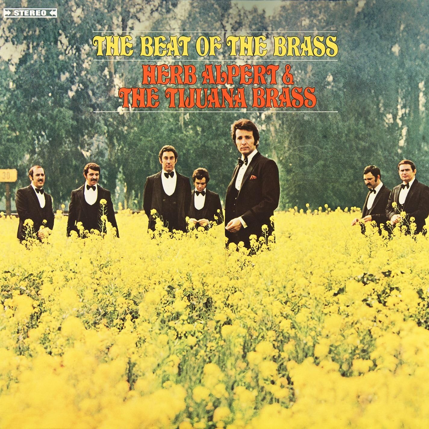 The Beat Of The Brass by Herb Alpert & Tijuana Brass Amazon.co.uk CDs