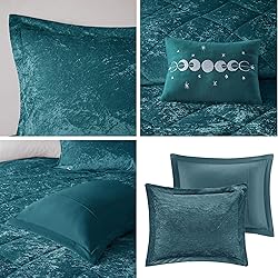 Intelligent Design Twin Comforter Set, Velvet