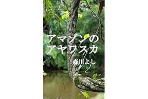 Ayahuasca in �鶹�� (Japanese Edition)
