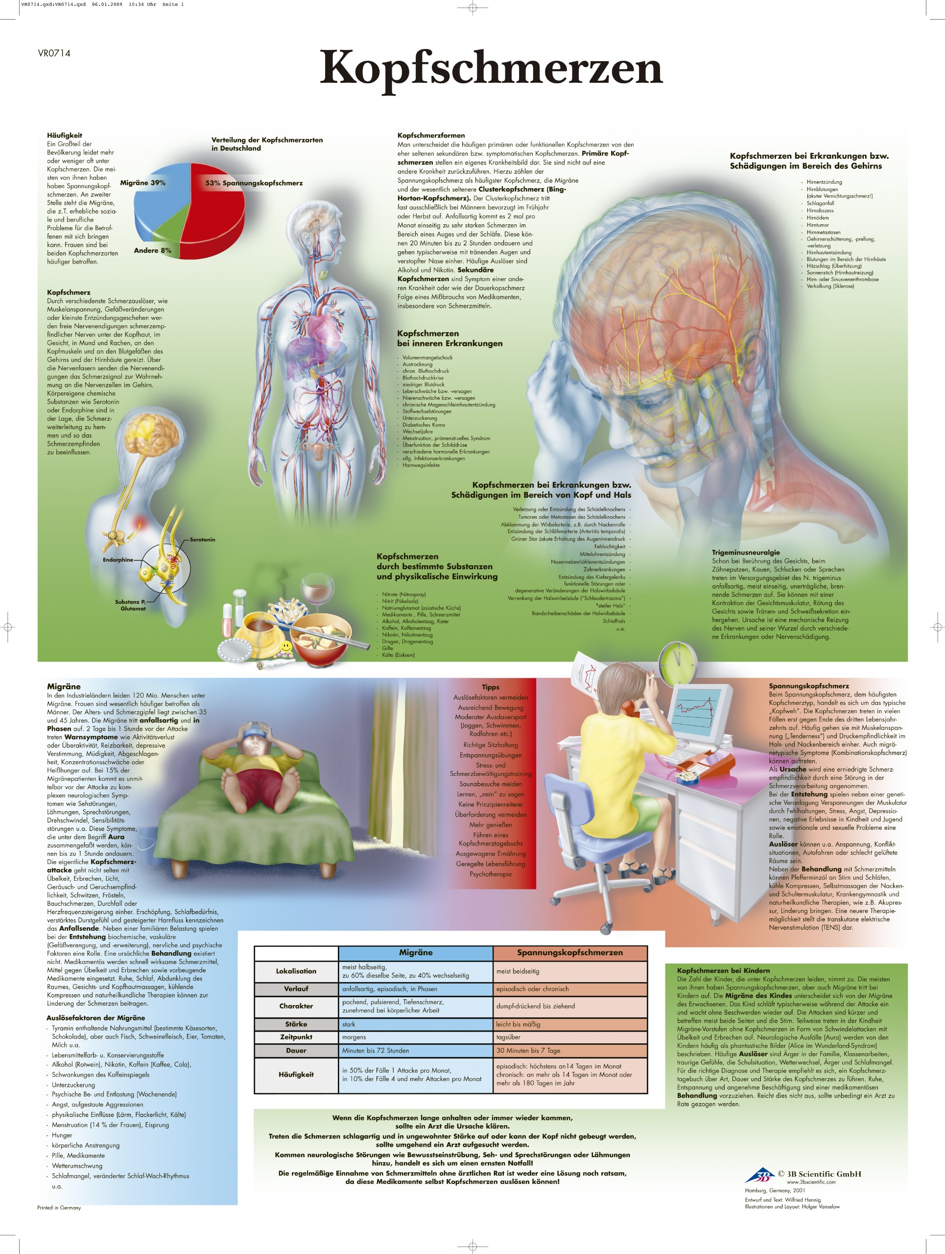 3B Scientific Laminated Chart - Headache