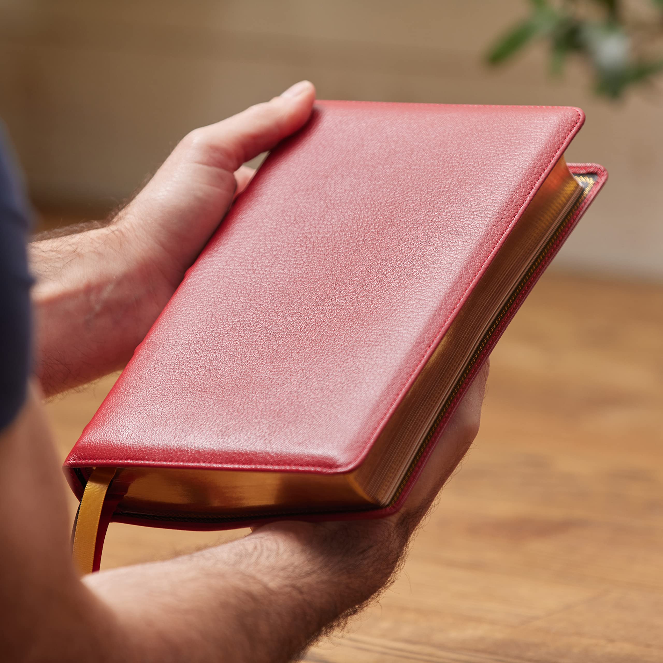 KJV Holy Bible: Large Print Single-Column with 43,000 End-of-Verse Cross References, Red Goatskin Leather, Premier Collection, Personal Size, Red Letter: King James Version KJV Holy Bible: Large Print Single-Column with 43,000 End-of-Verse Cross References, Red Goatskin Leather, Premier Collection, Personal Size, Red Letter: King James Version Leather Bound