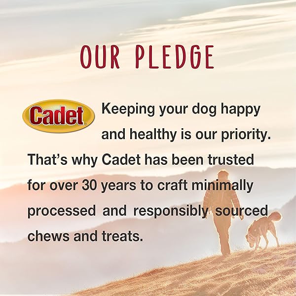 CADET GOURMET TRIPLE CHEWS LONG-LASTING PORK HIDE STICKS WITH APPLE AND DUCK, HEALTHY DOG TREATS FOR SMALL & LARGE DOGS, 6 COUNT