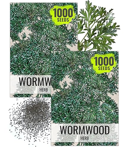 Amazon.com : Organic Sweet Annie (Artemisia annua) Seeds 20,000 Seeds (1  gram) -Sweet Wormwood, Sweet Sagewort, Annual Mugwort or Chinese Wormwood  by Smoke Camp Crafts : Patio, Lawn & Garden