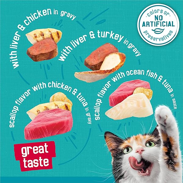 PURINA FRISKIES WET CAT FOOD VARIETY PACK, TASTY TREASURES PRIME FILETS (WITH CHICKEN AND TUNA, WITH CHICKEN, AND WITH OCEAN FISH AND TUNA, AND WITH TURKEY) – (PACK OF 24) 5.5 OZ. CANS