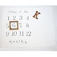 Kiddo Kind Baby Milestone Blanket - Extra Large 52" X 48" Photo Prop For Monthly Baby Pictures