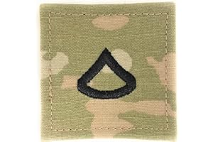 Insignia Depot US Army OCP Rank with Hook Fastener