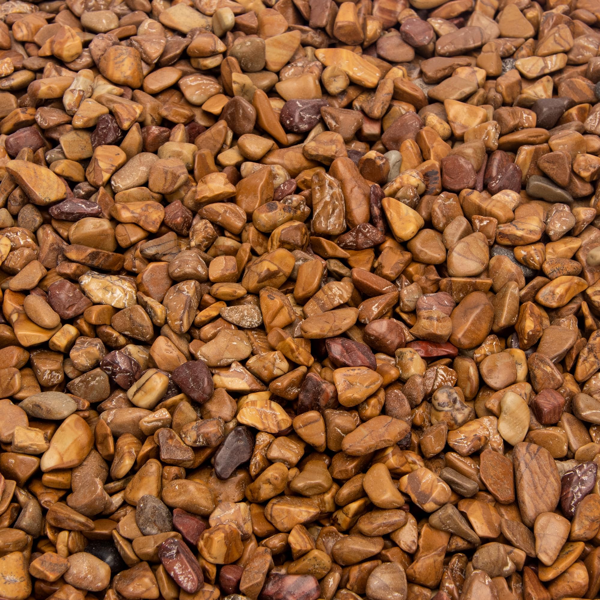 Photo 1 of 18 Pounds Wood Bean Rocks for Succulents Cactus Plants Decorative Stones Pebbles