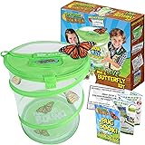 Nature Bound Butterfly Growing Habitat Kit - With Discount Voucher to Redeem Live Caterpillars for Home or School Use - Green
