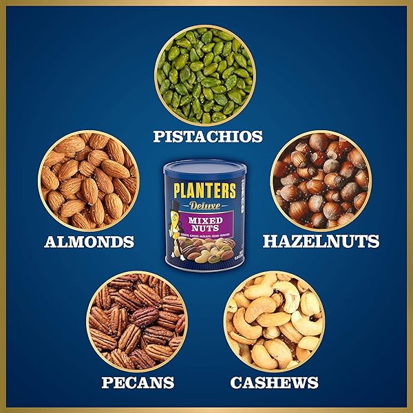 PLANTERS DELUXE SALTED MIXED NUTS, PARTY SNACKS, PLANT-BASED PROTEIN 15.25OZ (1 CANISTER)