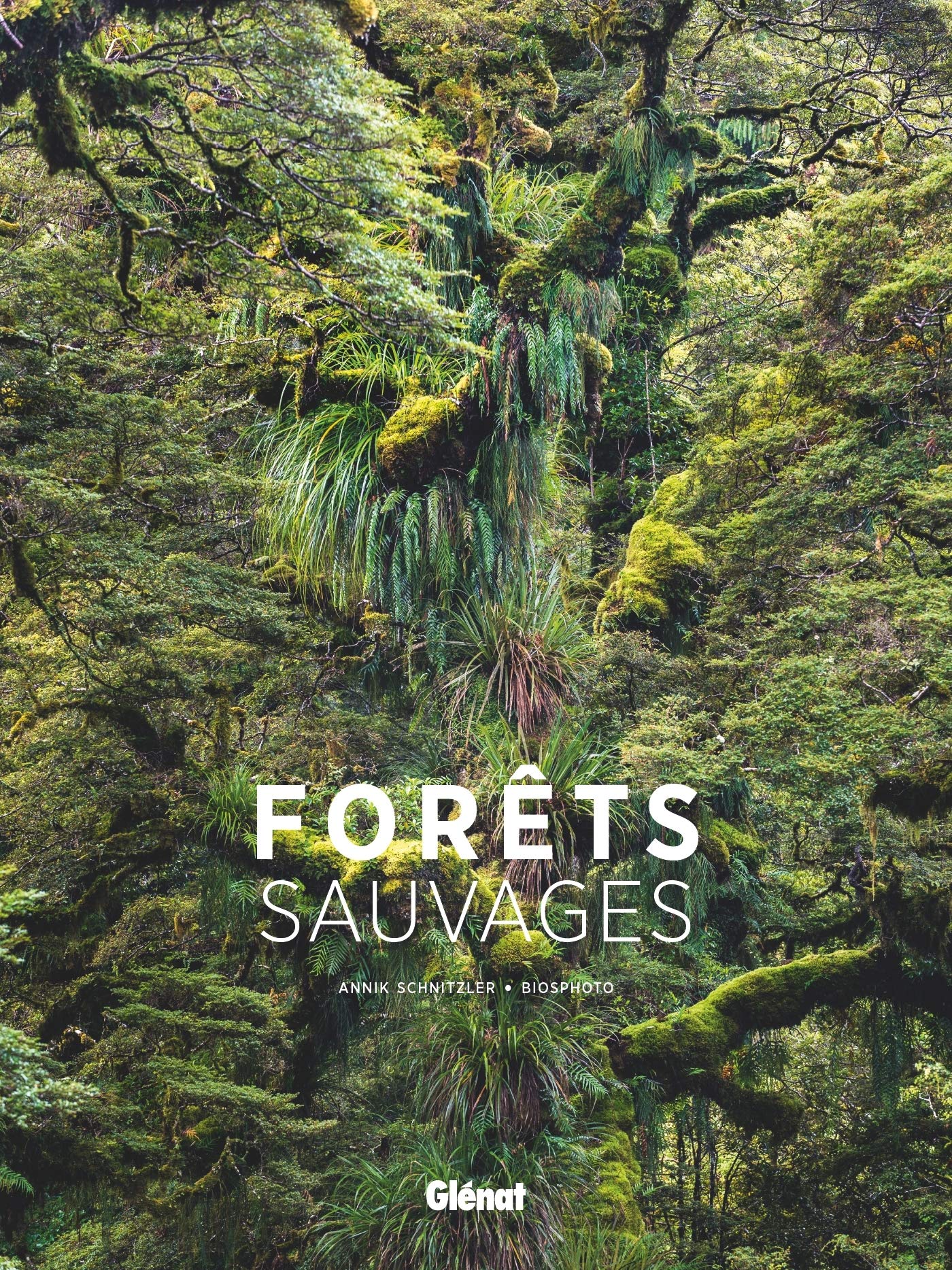 Forets Sauvages Beaux Livres Nature French Edition Schnitzler Annik Biosphoto 9782344043844 Amazon Com Books Forets Sauvages Beaux Livres Nature French Edition Schnitzler Annik Biosphoto 9782344043844 Amazon Com Books