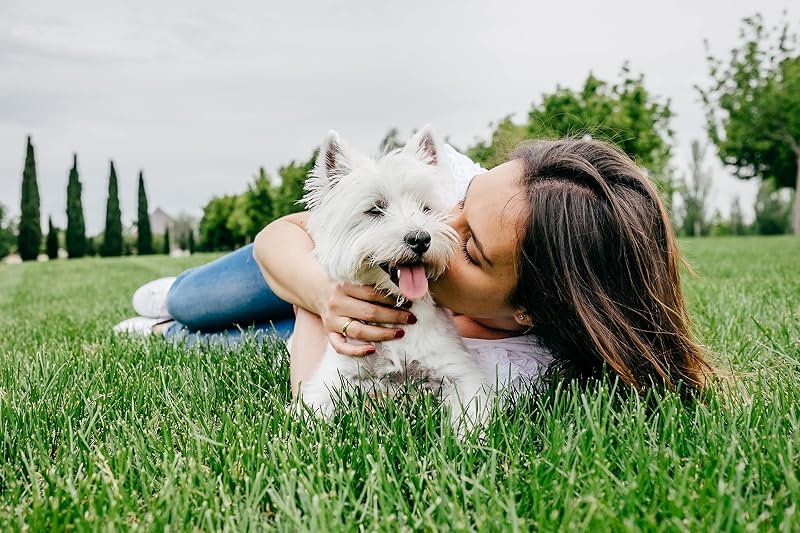 Junior Cibo Umido per Cani Cuccioli con Tenero Tacchino e Vitello, 14 Vaschette da 150 g, Totale 2.100g