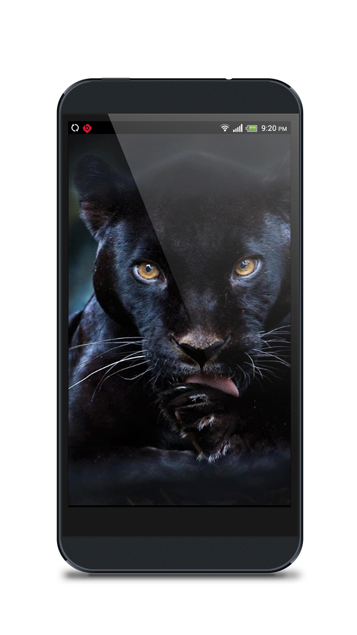 Черная пантера картинки на телефон на заставку для телефона андроид