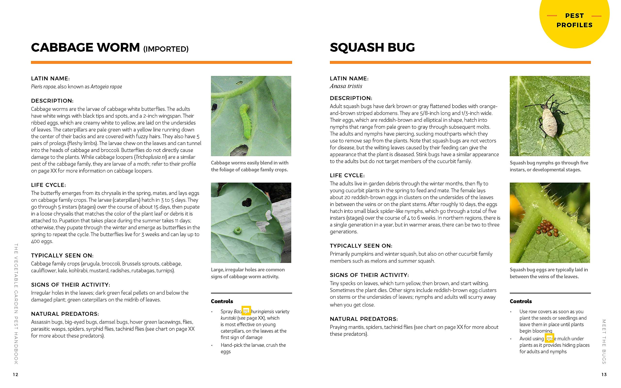 The Vegetable Garden Pest Handbook: Identify and Solve Common Pest Problems on Edible Plants - All Natural Solutions!