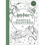 Harry Potter Postcard Coloring Book by Scholastic
