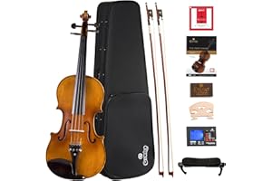 Cecilio Full Size 4/4 Violin with Hard Case & Shoulder Rest - Solidwood Ebony Fitted Violin with D'Addario Strings, Ideal for Beginners