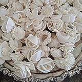 Mini Sola Wood Flower Assortment - 50 in a Set