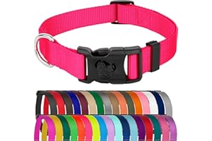 COUNTRY BROOK DESIGN Country Brook Petz - American-Made Dog Collar for Large, Medium, and Small Dogs and Puppies - Deluxe Heavy Duty Nylon in 33 Dazzling Colors (Large, 1 Inch Wide, Hot Pink)