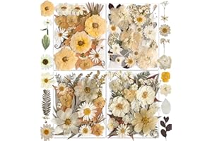 147PCS Vintage White Dried Pressed Flowers for Resin Craft - YouthBro Real Nature Flowers Set with Butterfly Stickers for DIY Jewelry Nail Scrapbook Art Floral Decors Boho