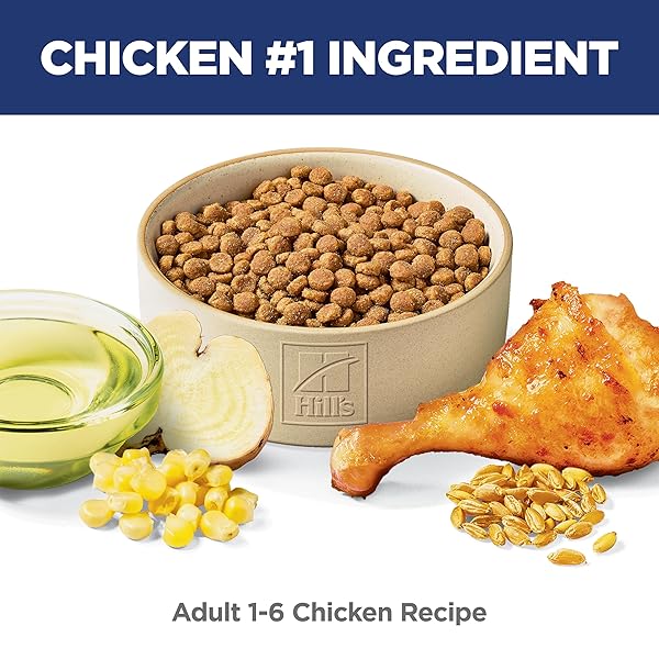HILL’S SCIENCE DIET ADULT 1-6, ADULT 1-6 PREMIUM NUTRITION, DRY CAT FOOD, CHICKEN RECIPE, 16 LB BAG