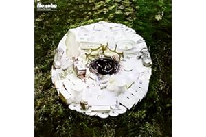 Days To Come (Vinyl)