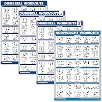 Palace Learning 4 Pack - Dumbbell Workout Posters Volume 1, 2 & 3 + Bodyweight Exercise Chart - Set of 4 Posters (LAMINATED, 