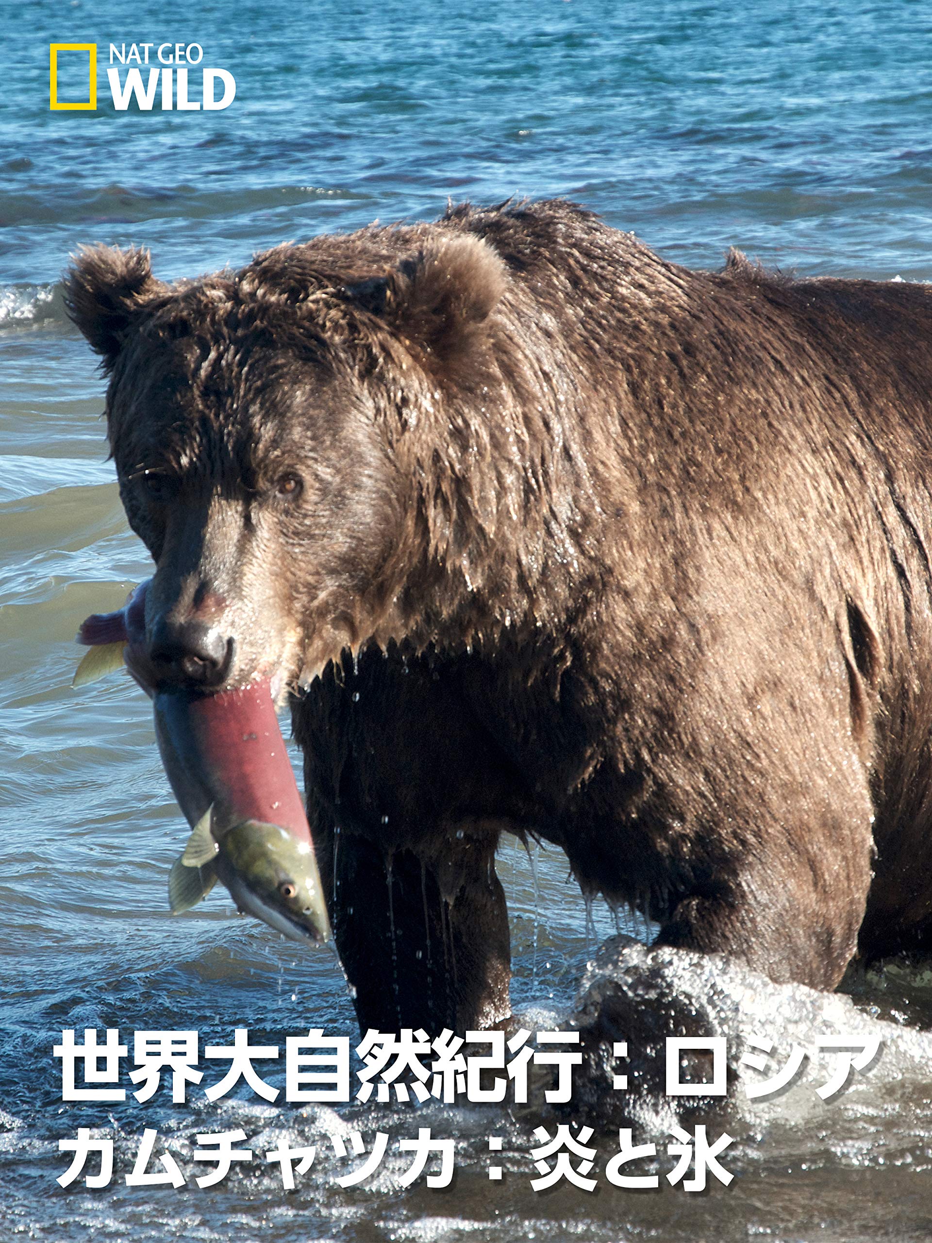 Amazon Co Jp 世界大自然紀行 ロシア カムチャツカ 炎と氷を観る Prime Video Amazon Co Jp 世界大自然紀行 ロシア カムチャツカ 炎と氷を観る Prime Video