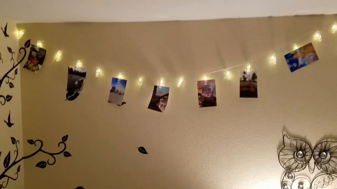 Customer reviews LECLSTAR Photo Hanging Clips String, 50